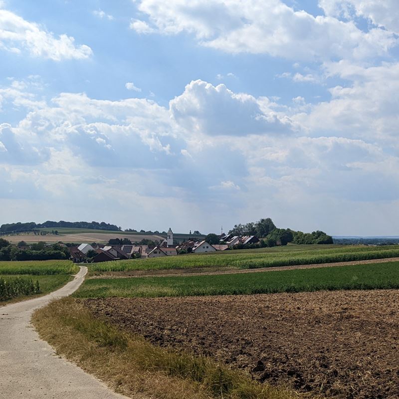 Ansicht auf Adelshausen von Osten. Im Hintergrund ist der Ort Adelshausen zu sehen. Im Vordergrund Felder.