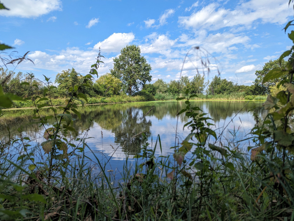 Idyllischer Blick auf den Schönungsteich Aschelsried.